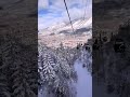 just one way to cope... when will it snow #skiseason #aspen #skiing #fyp #viral
