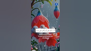 سورة الفيل #الله #القرآن #فيروسي #فيديو فيروسي #فيديو فيروسي على يوتيوب #فيديو رائج #سورة الفيل