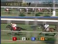 The 41st Running of The Las Palmas Handicap (GII) - $150,000 Guaranteed