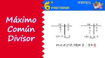 Máximo común divisor. Mate, 6º Primaria