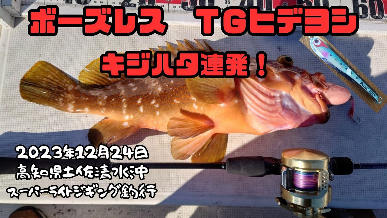 ボーズレスのタングステンジグ TGヒデヨシのインプレ