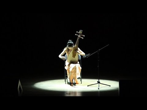 琵琶独奏-十面埋伏-李璨