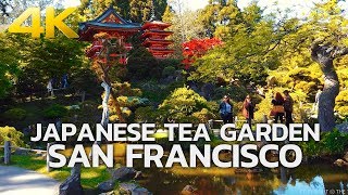 SAN FRANCISCO - Japanese Tea Garden, Golden Gate Park, San Francisco, California, USA, Travel 4K UHD