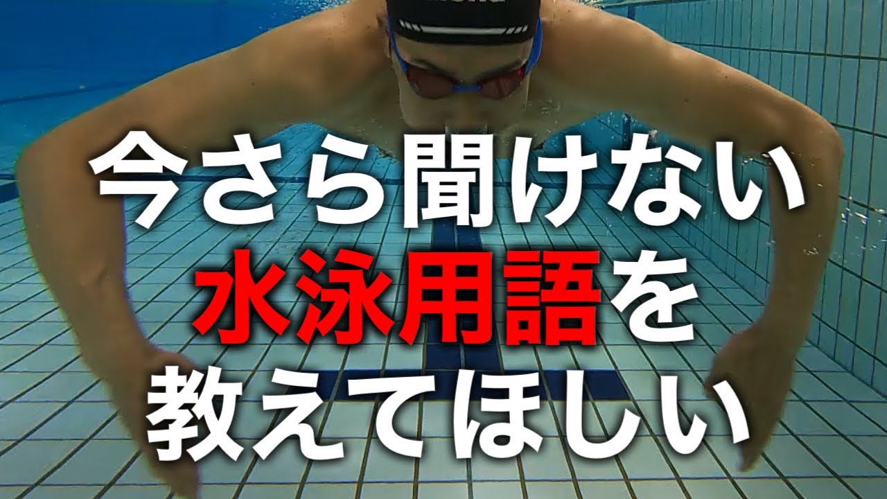 #1245 今さら聞けない水泳用語　練習編入門