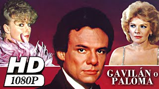 Película - Gavilán O Paloma 1985 - Remasterizada Hd Resubida