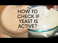 How To Check If Yeast Is Active?  | Good Yeast and Bad Yeast | Schilla