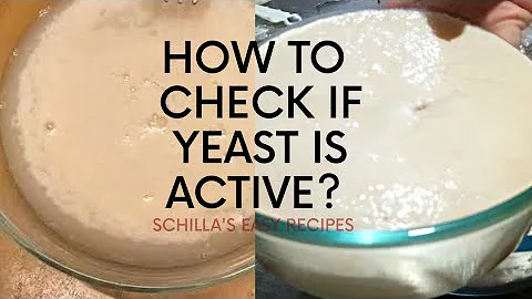 How To Check If Yeast Is Active?  | Good Yeast and Bad Yeast | Schilla's Easy Recipes - DayDayNews