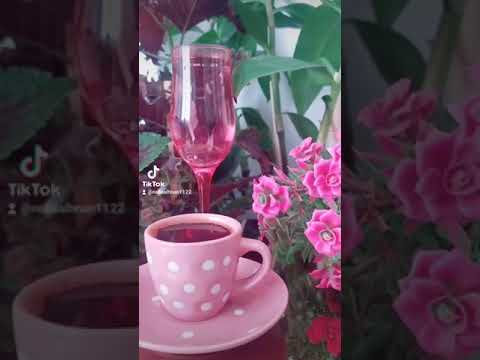 حالات وتس اب الياس خضر اعزاز والله عزاز