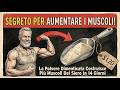 Più di 60 anni? QUESTA polvere dimenticata da $1,20 costruisce più muscoli della whey in 14 giorni