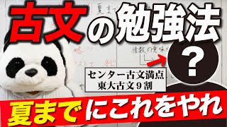 【最短攻略】夏までにやるべき古文勉強法&オススメ参考書（共通テスト／2次試験）