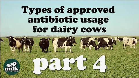 4. Types of Approved Antibiotic Usage for Dairy Cows