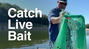 Catch Live Bait With A Cast Net