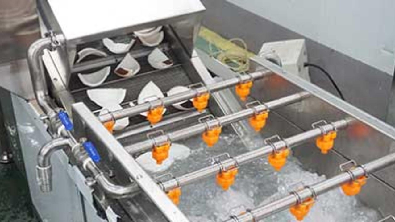 Customized Coconut Peeling Washing Line