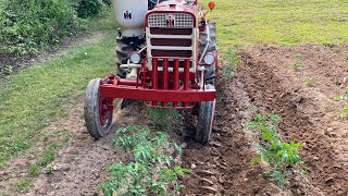 Farmall 140 hilling tomatoes