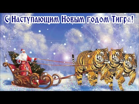 С наступающим Новым годом Тигра! Красивое зажигательное поздравление открытка