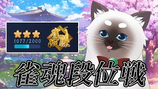 【雀魂】なんの脈絡もなく段位戦を始める猫 34【Vtuber】