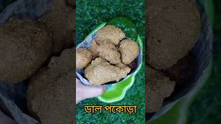 kolkata famous street food dal pakora. shorts viral trending kolkata bengali @Doyel_world