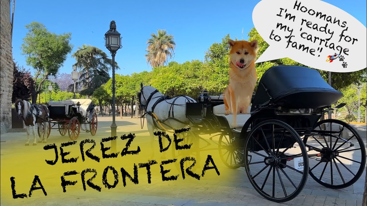 A Hidden Gem In Spain! Dogfriendly Tour Of Jerez De La Frontera With Akita Inu. YouTube