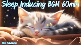 Sleep Inducing BGM 60min Cute Kittens