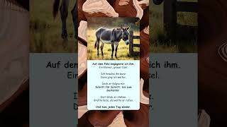 Esel lief mir bis ans Gartentor nach! 🫏❤️ #emotional #tiere