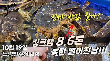 킹크랩 물량 8 6톤 진짜 반값 자연산 전복 가격이 좋네요 광어 좀 10월 19일 노량진 수산시장