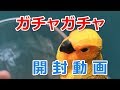 【ガチャガチャ】グラスのフチに! インコがちょっこり! コガネメキシコインコ【開封】