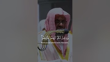 اللهم صل و سلم على محمد ‎القارئ: سعود الشريم السورة:النور (26-29)