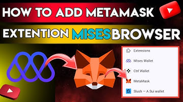How to Add Metamask Extension in Mises Browser || Mises browser mai Metamask kaise lagae #cryptotips