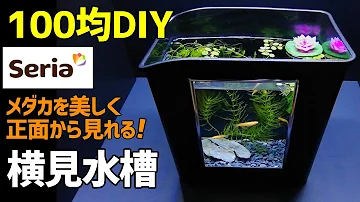 ボトルアクアテラリウム 作り方100均diy メダカも植物も楽しめるミニ水槽をダイソーで作成 How To Make A Tabletop Aquarium Moss Aquaterrarium Mp3