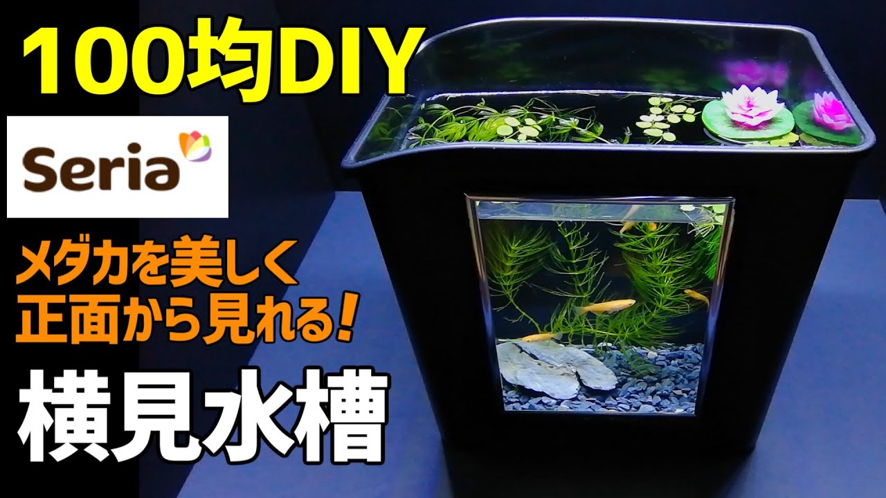 メダカの 横見水槽 作り方100均diy メダカ室内飼育 セリア ゴミ箱で作成 ミニビオトープ How To Make Tabletop Aquarium Youtube