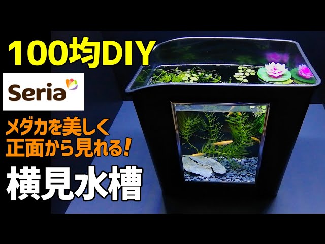 メダカの【横見水槽】作り方100均DIY! メダカ室内飼育 セリア ゴミ箱で作成 ミニビオトープ～How to Make Tabletop  Aquarium～