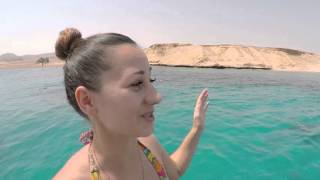 ZooАзбука. Рыбы красного моря ZooАзбука. Рыбы красного моря