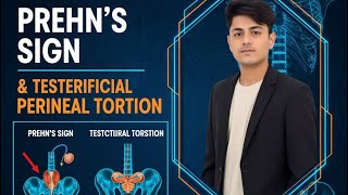 Prehn Sign, Testicular Torsion, Hydrocele, Hernia Lecture Surgery Dr. Abdullah