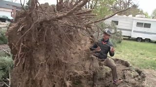 Damaging winds sweep across Denver metro area