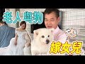 老人與狗嫁女兒！😭😭😭『感動千萬人』