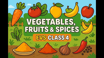 Vegetables, Fruits, and Spices – EVS Class 4