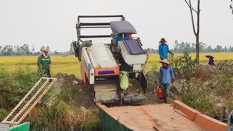 QUAY CẢNH MÁY CẮT LÚA KUBOTA DC 70 XUỐNG PHÀ LÊN PHÀ DỐC CAO
