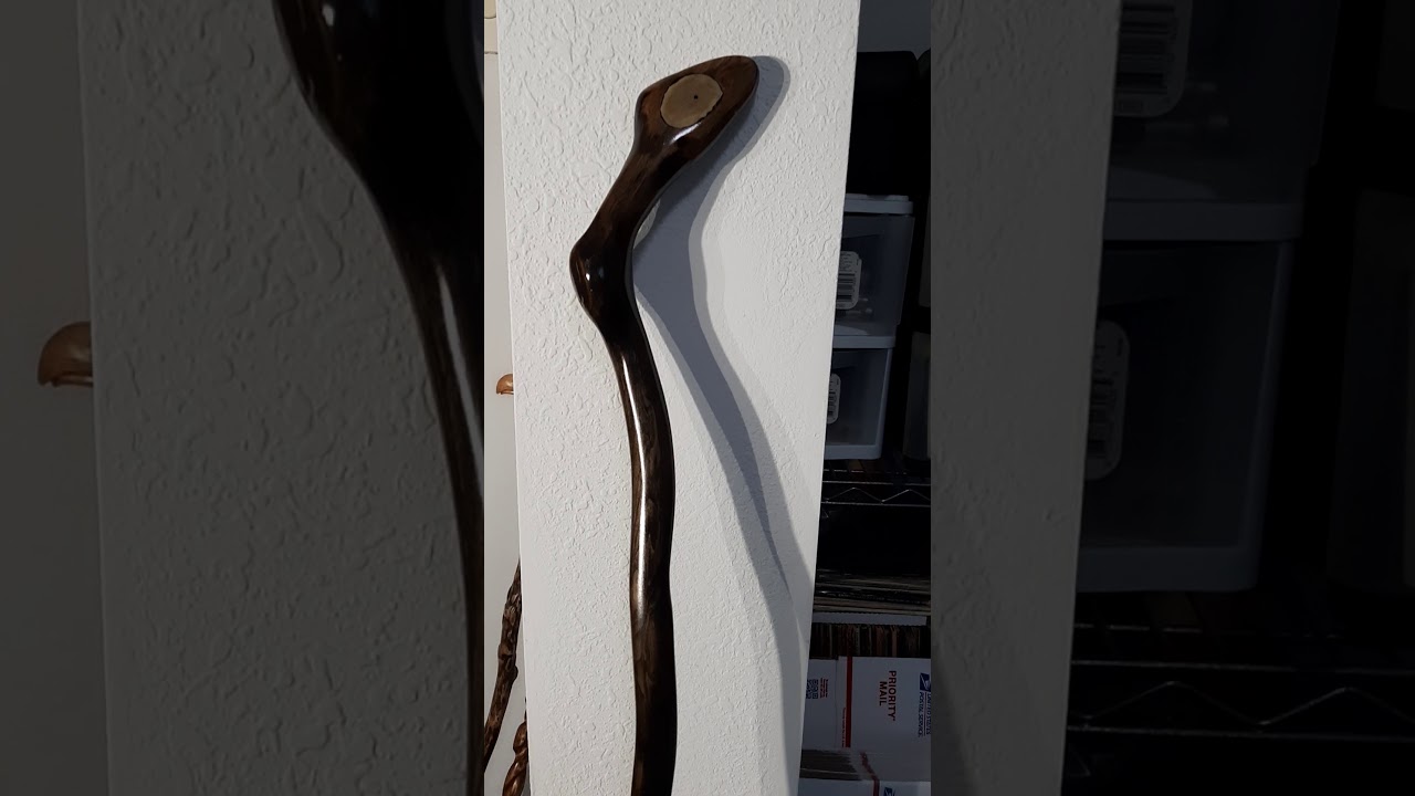 Walking sticks - YouTube
