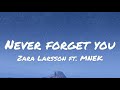 Zara larsson ft mnek  never forget you lyrics