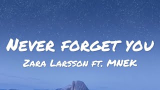 Zara Larsson ft. MNEK - Never Forget You (lyrics)