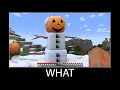 Minecraft wait what meme part 51 realistic minecraft snow golem