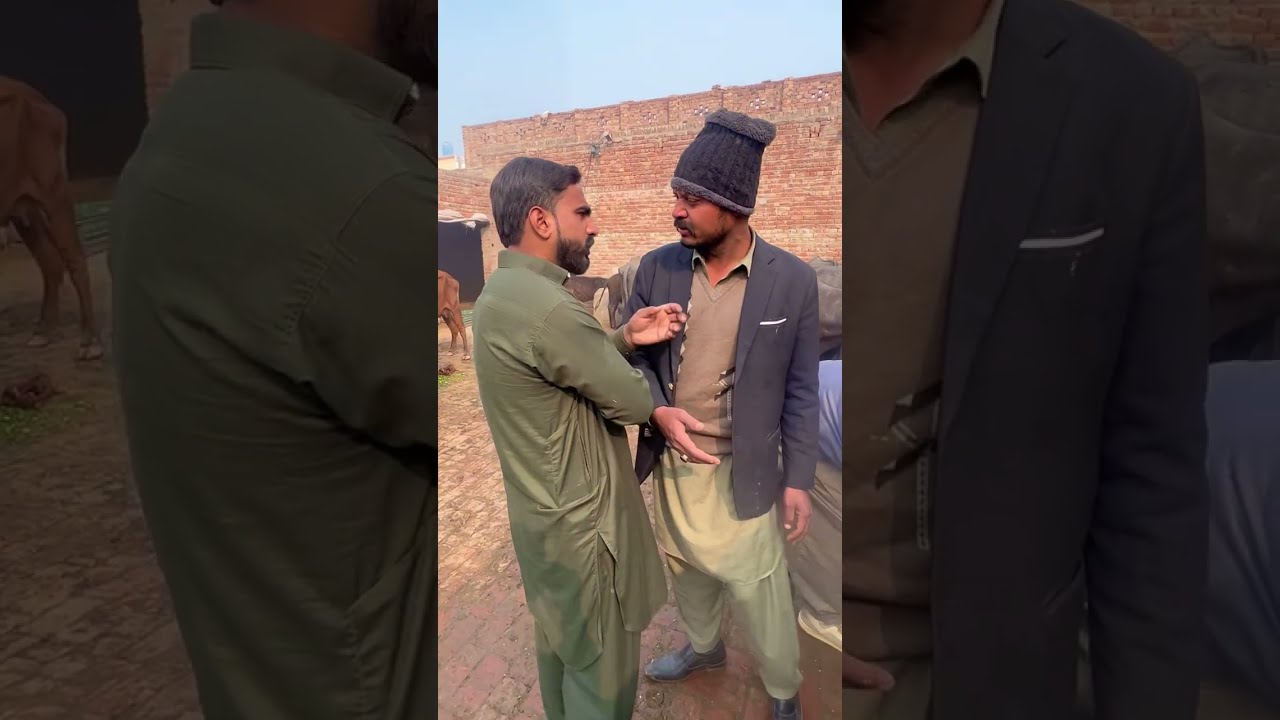 لالچ میں ا کر ایسا فیصلہ نہ کرنا