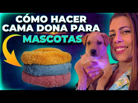 Video: Cómo hacer una cama de perro de apoyo