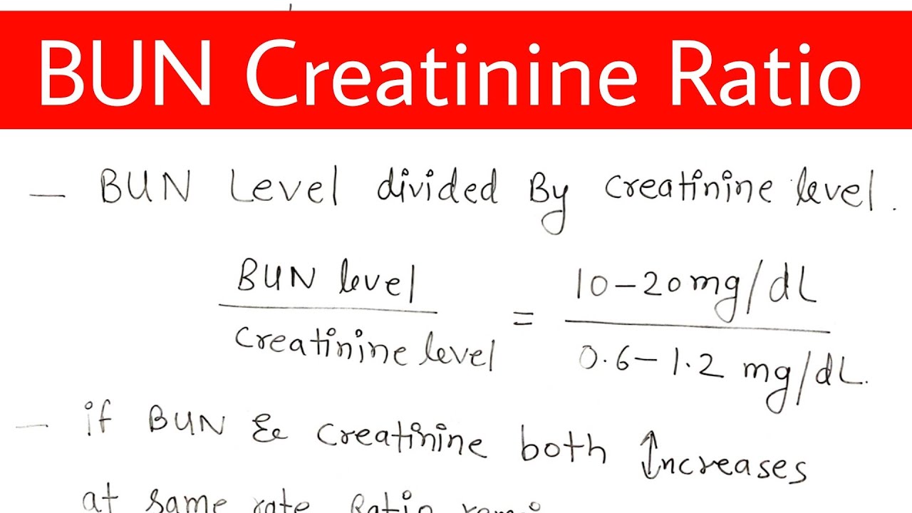 Bun Creatinine Ratio YouTube