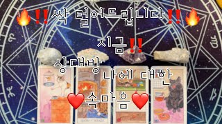 타로- ‼️싹 털어드립니다‼️ 지금!! 상대방 나에 대한 속마음