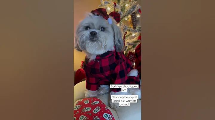 Need last minute pet gifts!? Check out our new pet...