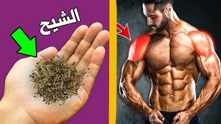 تناول الشيح بهذه الطريق واحصد فوائد لا نهاية لها