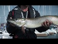 Big Northern Pike In Southern Ontario | Fish'n Canada
