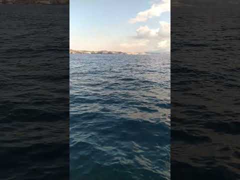 Ψάρεμα στο λιμάνι
