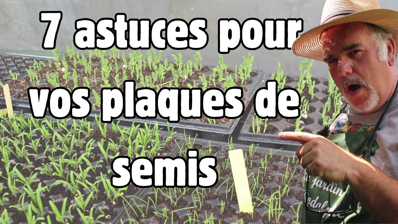 Comment remplir une plaque alvéolée et réussir ses semis?